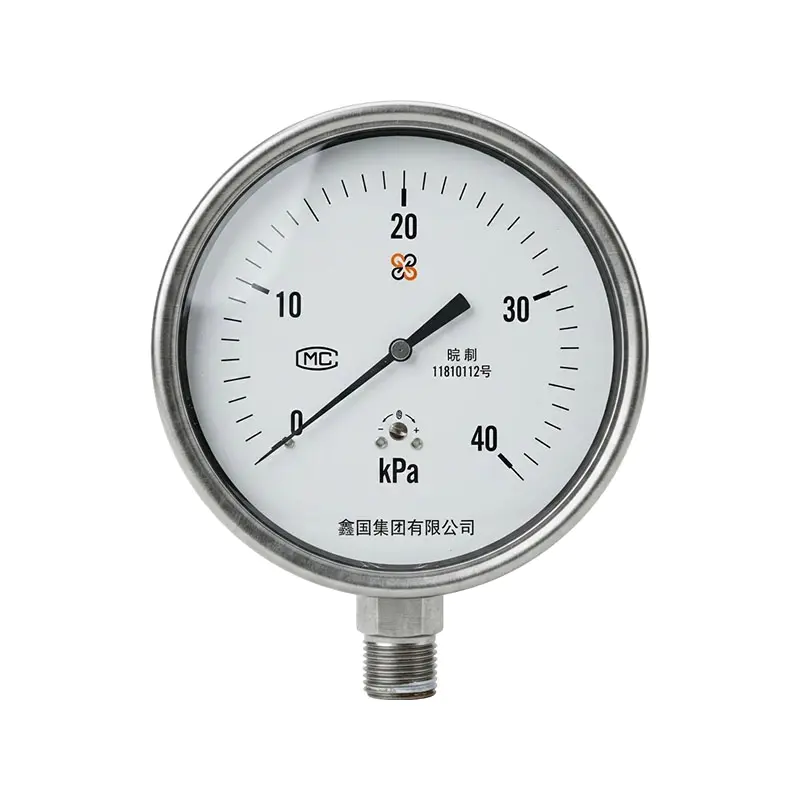 XG/YE-100B immaculatam ferro diaphragmate arca pressura METIOR